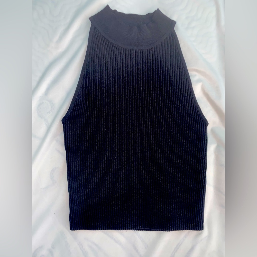 Aritzia Babaton crop top
